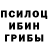 Псилоцибиновые грибы Cubensis Tv Parkur