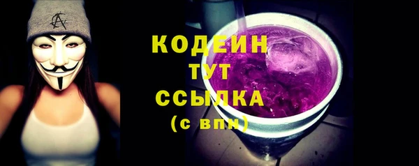 хмурый Арсеньев