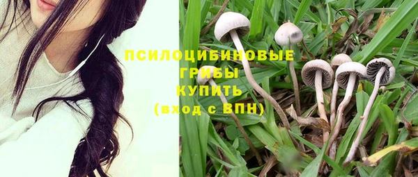гидра Армянск