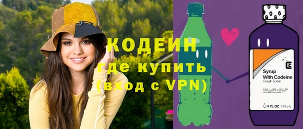хмурый Арсеньев