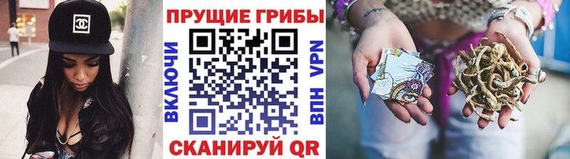 blacksprut как зайти  Пыть-Ях  Псилоцибиновые грибы Psilocybe  купить наркотик 